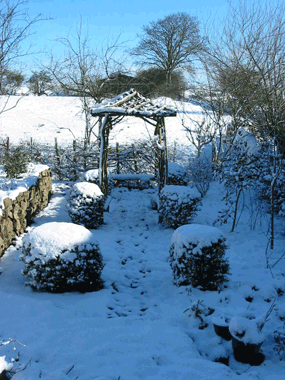 cottage Gardens