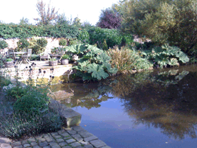 cheshire garden