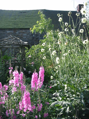 cottage garden designer